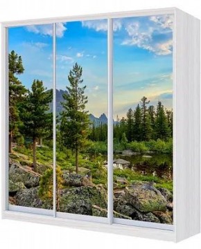 Шкаф-купе ХИТ 24-4-18/2-777 ПРИРОДА в Североуральске - severouralsk.mebel24.online | фото
