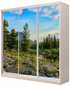 Шкаф-купе ХИТ 24-4-20-777 ПРИРОДА в Североуральске - severouralsk.mebel24.online | фото