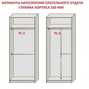 Шкаф распашной серия «ЗЕВС» (PL3/С1/PL2) Серый камень/Небраска натуральный в Североуральске - severouralsk.mebel24.online | фото 10