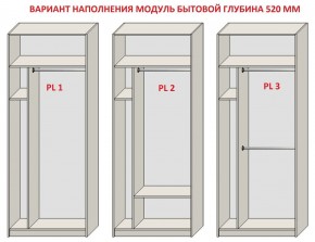 Шкаф распашной серия «ЗЕВС» (PL3/С1/PL2) Серый камень/Небраска натуральный в Североуральске - severouralsk.mebel24.online | фото 5