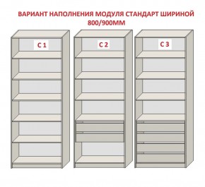 Шкаф распашной серия «ЗЕВС» (PL3/С1/PL2) Серый камень/Небраска натуральный в Североуральске - severouralsk.mebel24.online | фото 6