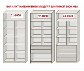 Шкаф распашной серия «ЗЕВС» (PL3/С1/PL2) Серый камень/Небраска натуральный в Североуральске - severouralsk.mebel24.online | фото 7