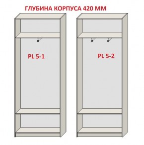 Шкаф распашной серия «ЗЕВС» (PL3/С1/PL2) Серый камень/Небраска натуральный в Североуральске - severouralsk.mebel24.online | фото 8