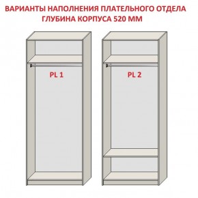Шкаф распашной серия «ЗЕВС» (PL3/С1/PL2) Серый камень/Небраска натуральный в Североуральске - severouralsk.mebel24.online | фото 9