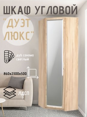 Шкаф угловой Дуэт Люкс с зеркалом в Североуральске - severouralsk.mebel24.online | фото 1