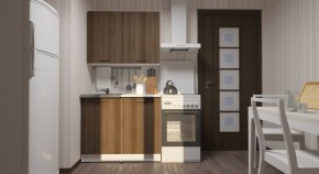 ЯНА Кухонный гарнитур Мини (1000 мм) в Североуральске - severouralsk.mebel24.online | фото